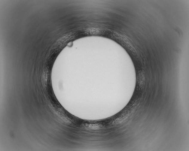 X0000110690645200907101149