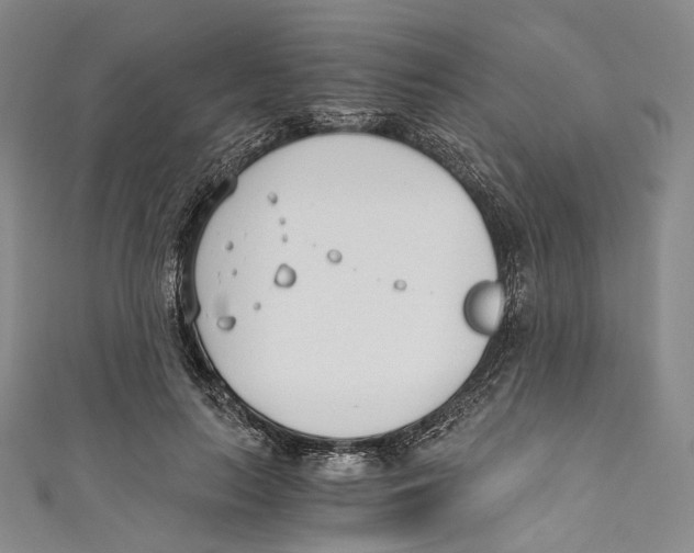 X0000110690647200907101149