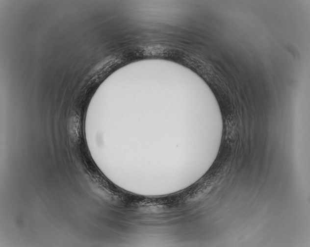 X0000110690648200907101149