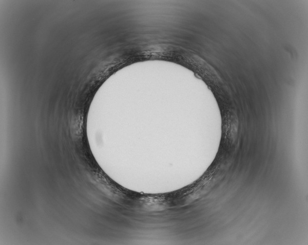 X0000110690660200907101150