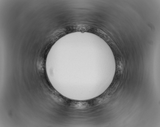 X0000110690663200907101150