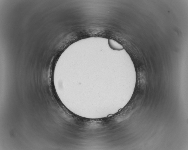 X0000110690664200907101150