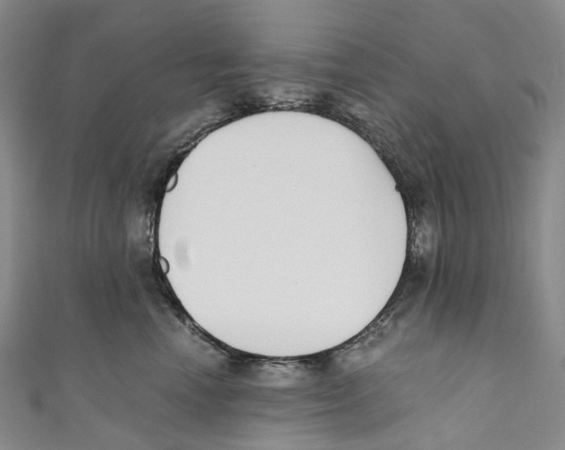 X0000110690666200907101150