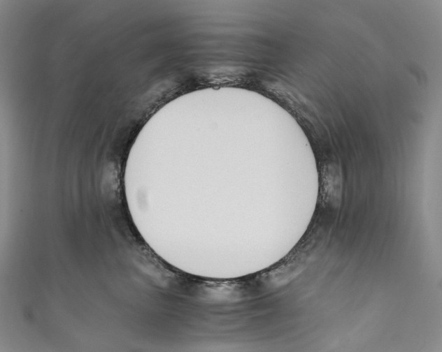 X0000110690667200907101150