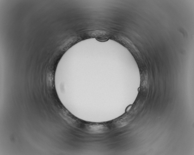 X0000110690669200907101150