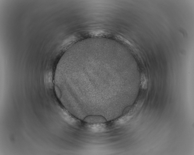 X0000110690670200907101150