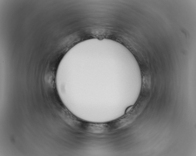 X0000110690671200907101150