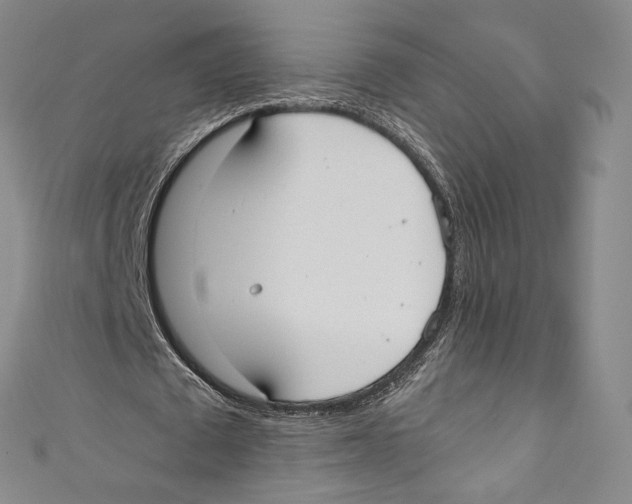 X0000110690673200907101149