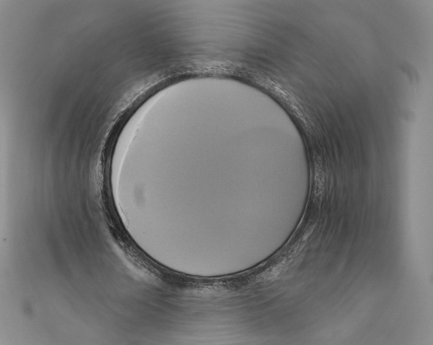 X0000110690674200907101149