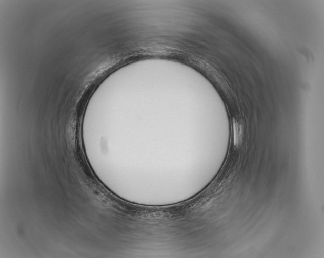 X0000110690675200907101149