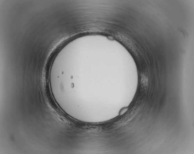 X0000110690676200907101149