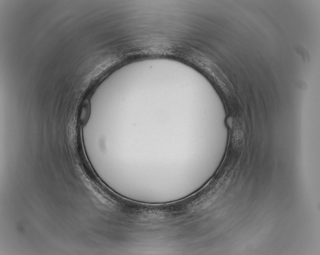 X0000110690677200907101149