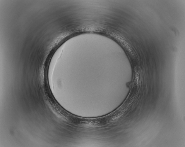 X0000110690678200907101149