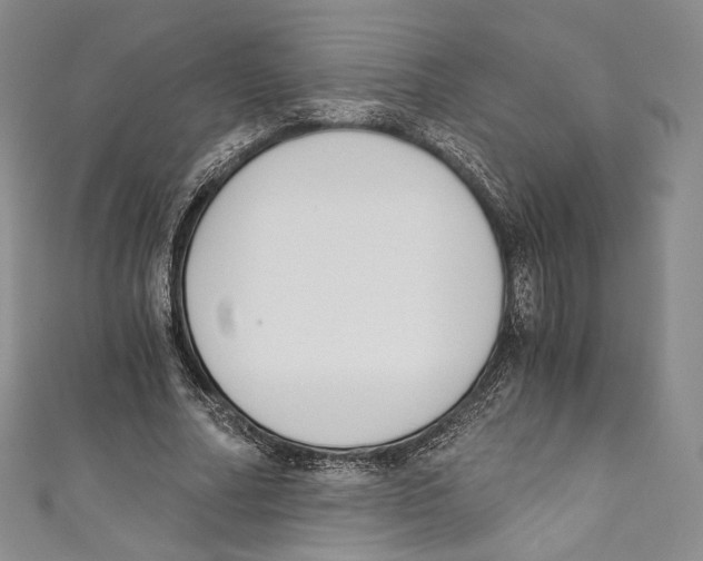 X0000110690682200907101149