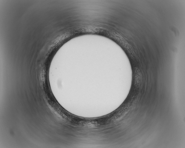 X0000110690683200907101149