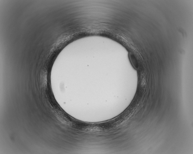 X0000110690685200907101149