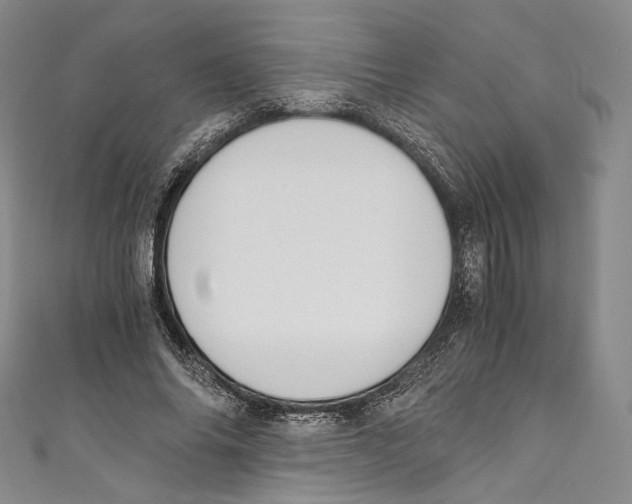 X0000110690686200907101149