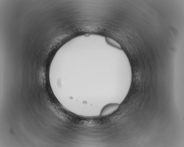 X0000110690688200907101149