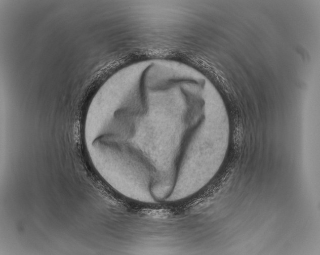 X0000110690689200907101149