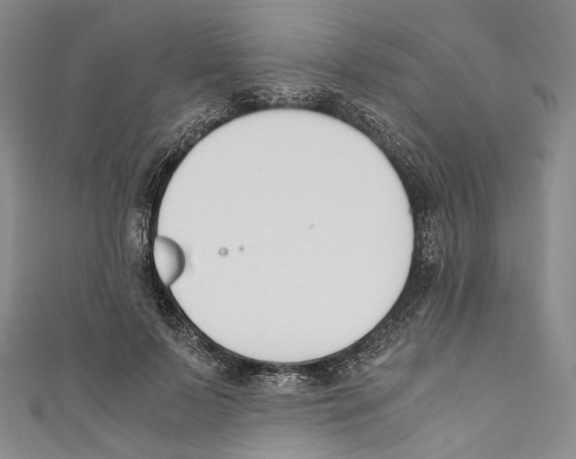 X0000110690695200907101149