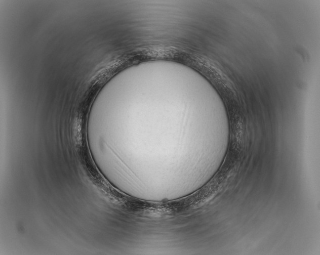 X0000110690696200907101149