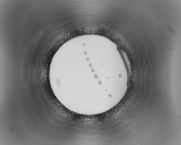 X0000110690697200907101149