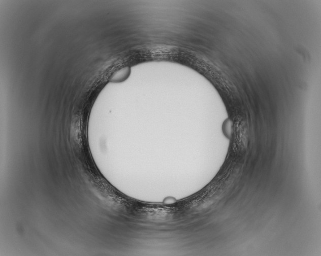 X0000110690698200907101149