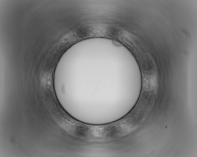 X0000110690701200907101149