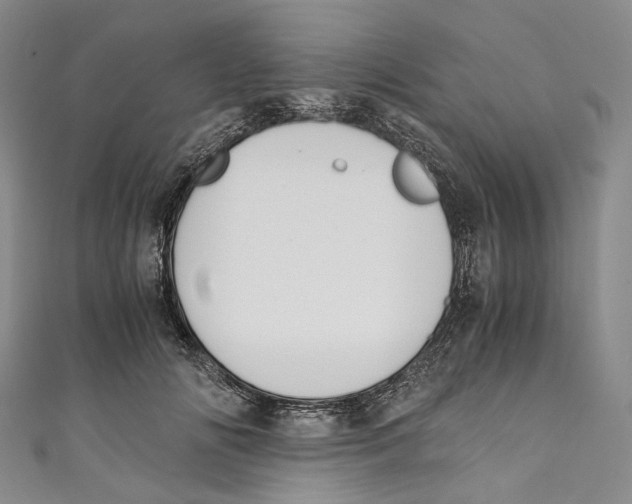 X0000110690702200907101149