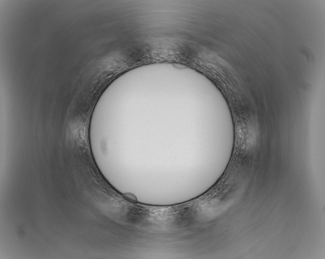 X0000110690705200907101149