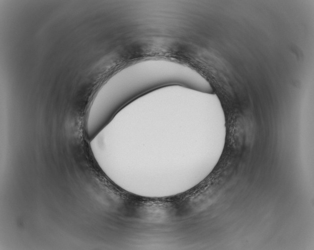 X0000110690708200907101149