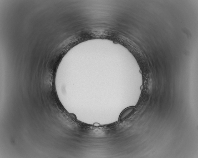 X0000110690710200907101149