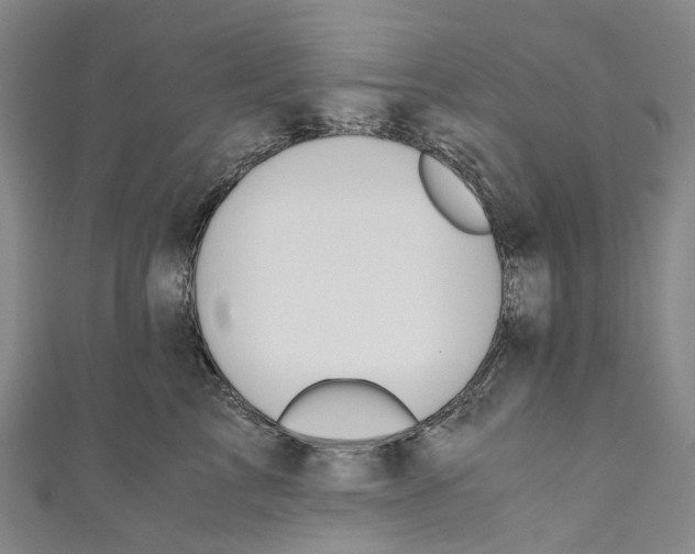 X0000110690713200907101149