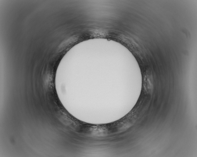 X0000110690714200907101149