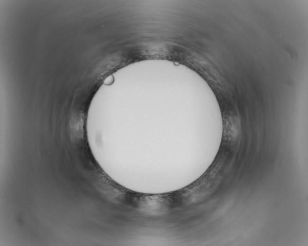 X0000110690717200907101148