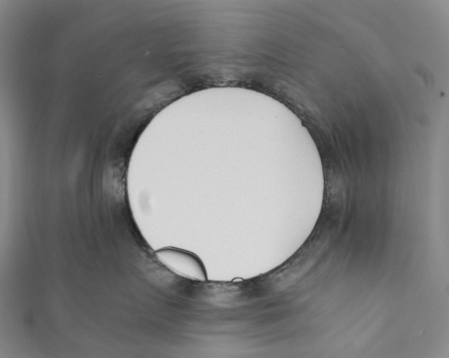 X0000110690719200907101148