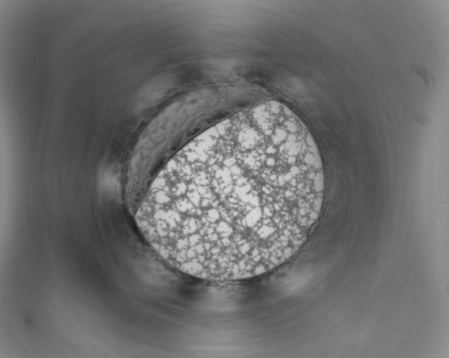 X0000110690720200907101148