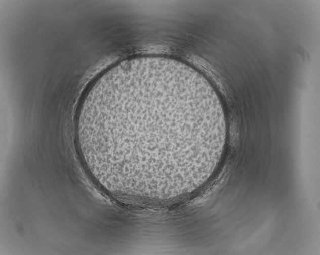 X0000110690721200907101148