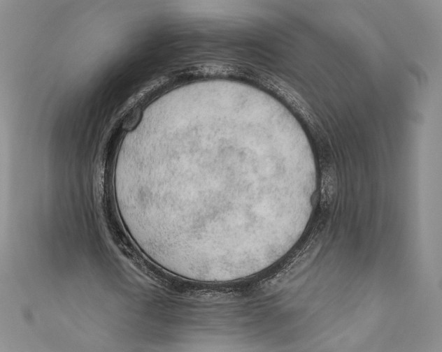 X0000110690722200907101148