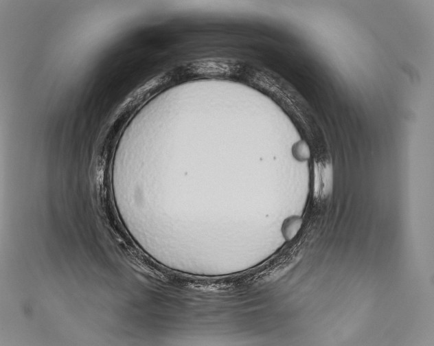 X0000110690723200907101148