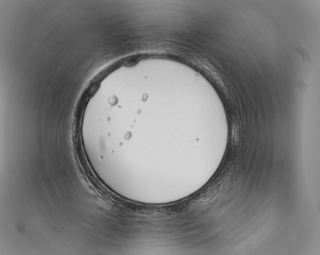 X0000110690724200907101148