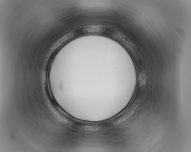 X0000110690725200907101148