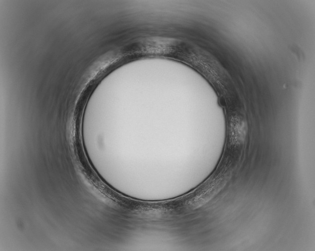 X0000110690726200907101148