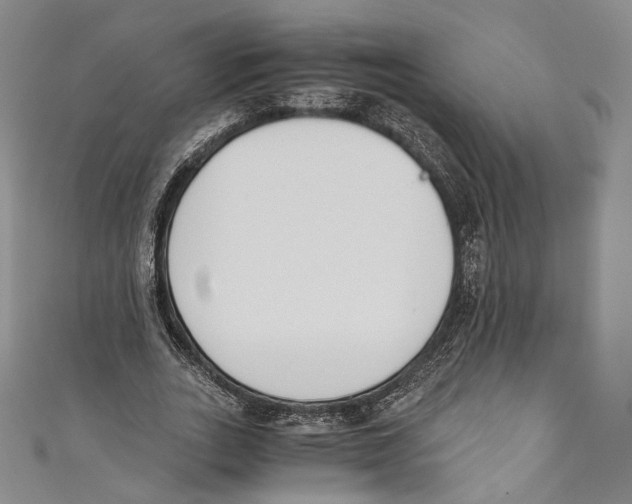 X0000110690727200907101148