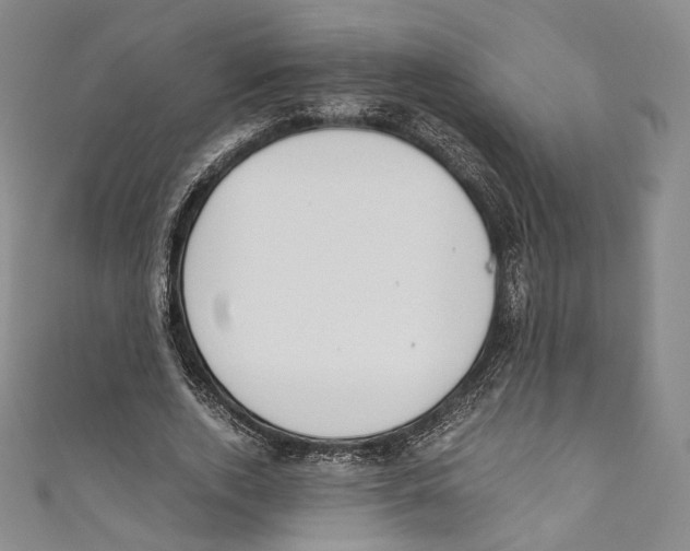 X0000110690728200907101148