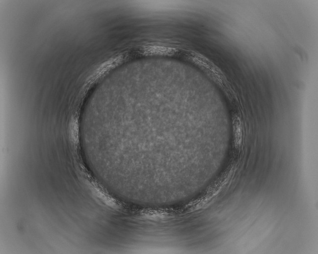 X0000110690729200907101148