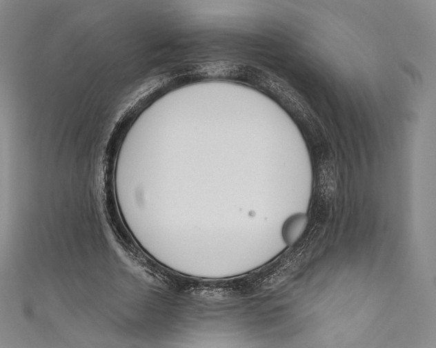 X0000110690730200907101148