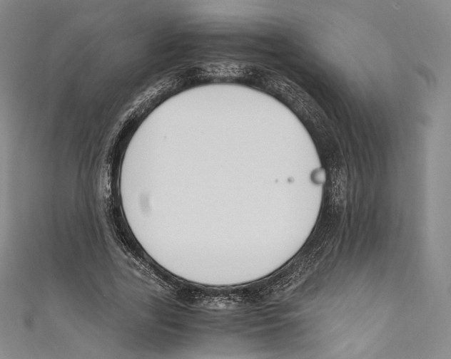 X0000110690731200907101148