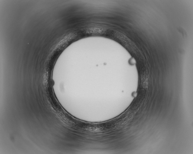 X0000110690735200907101148