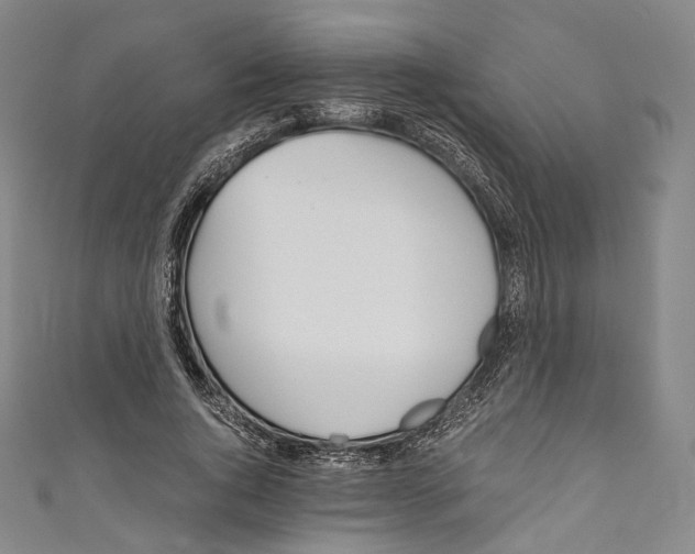 X0000110690736200907101148